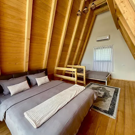 Kovacevic 2 *